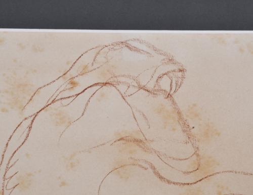 ISIDRE NONELL I MONTURIOL (1873-1911). "Female figure", ske