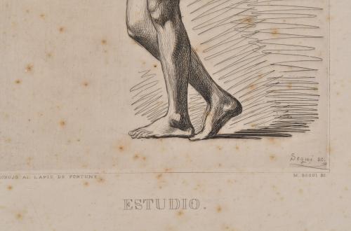 MIGUEL SEGUI Y RIERA (1858-1923). After an original by M. F