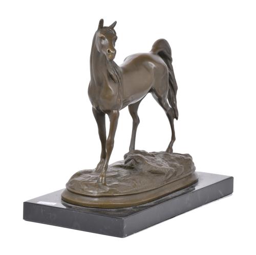 "Caballo".