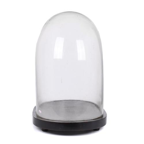 Vitrina de cristal, siglo XX. 
