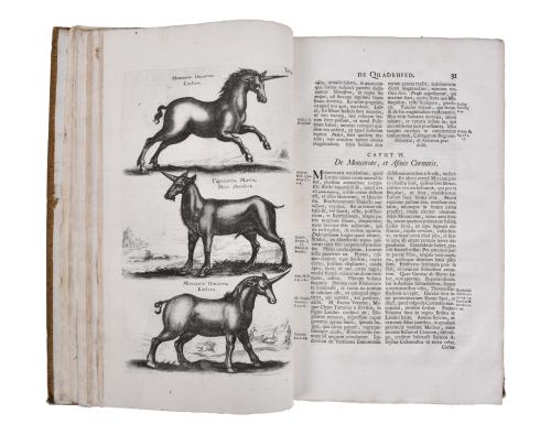 JOHN JONSTON (1603 - 1675). Historiae naturalis de quadrupe