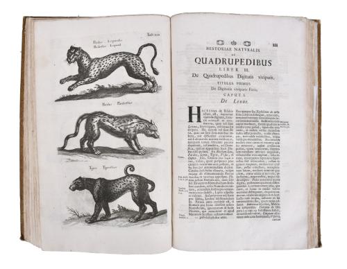 JOHN JONSTON (1603 - 1675). Historiae naturalis de quadrupe