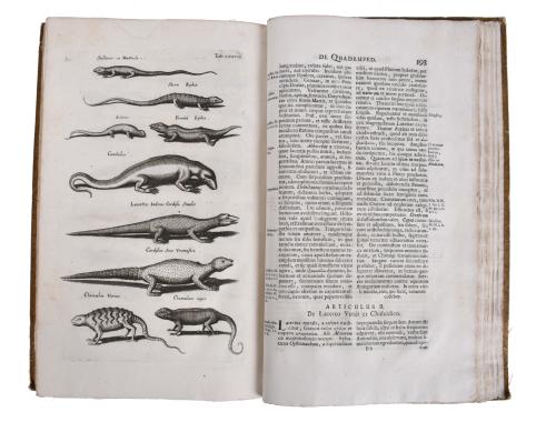 JOHN JONSTON (1603 - 1675). Historiae naturalis de quadrupe