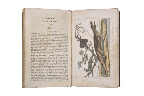 OLIVER GOLDSMITH (1728 - 1774). History of the earth and an