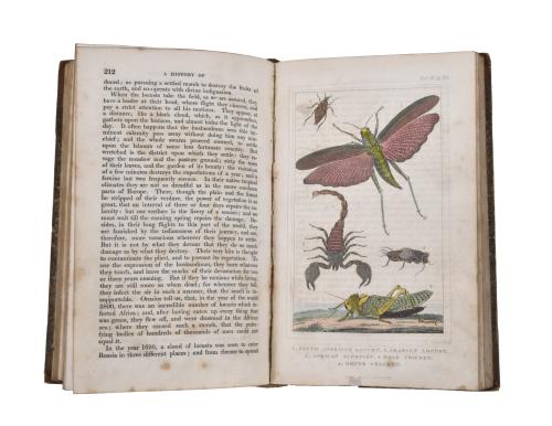 OLIVER GOLDSMITH (1728 - 1774). History of the earth and an