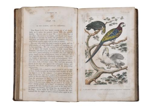 OLIVER GOLDSMITH (1728 - 1774). History of the earth and an