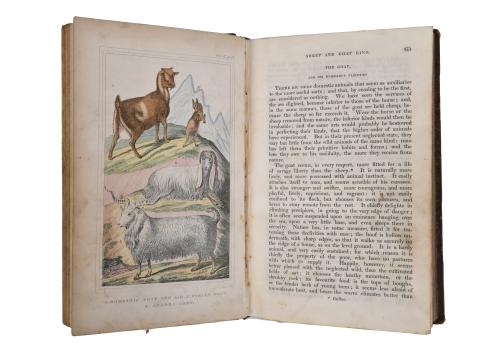 OLIVER GOLDSMITH (1728 - 1774). History of the earth and an