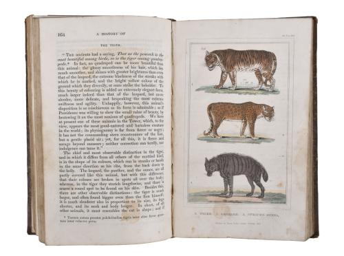 OLIVER GOLDSMITH (1728 - 1774). History of the earth and an