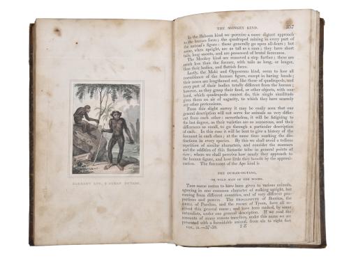 OLIVER GOLDSMITH (1728 - 1774). History of the earth and an