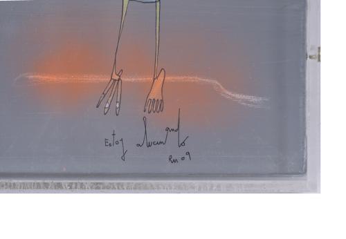 RAFAEL MACARRÓN (1981).  "Estoy alucinando", 2009.