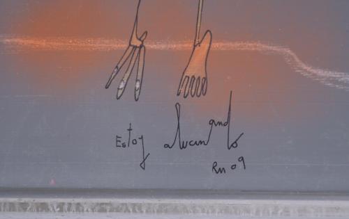 RAFAEL MACARRÓN (1981).  "Estoy alucinando", 2009.