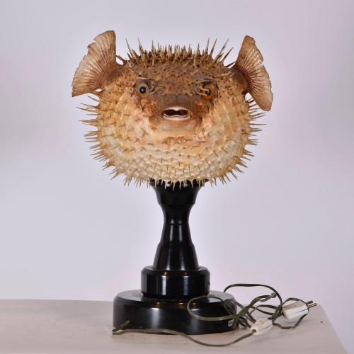 Blowfish lamp