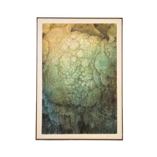 RAFAEL MUYOR (1943). Serie "Frutas".