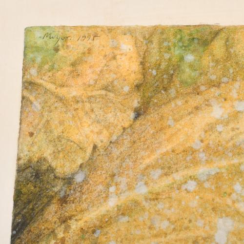 RAFAEL MUYOR (1943). Serie "Frutas".