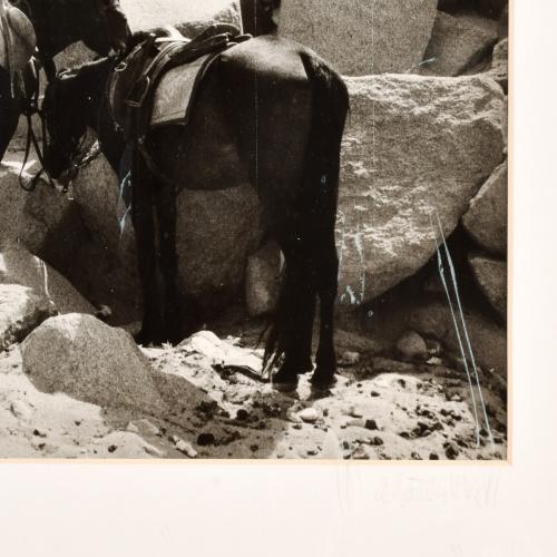 ANTONIO SÁNCHEZ BARRIGA (1948). "Gizeh, Keops", 2000.