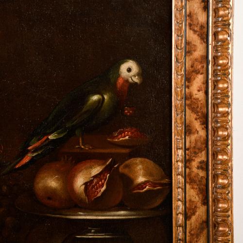 ESCUELA ESPAÑOLA, SIGLO XVIII. "Bodegón con loro".