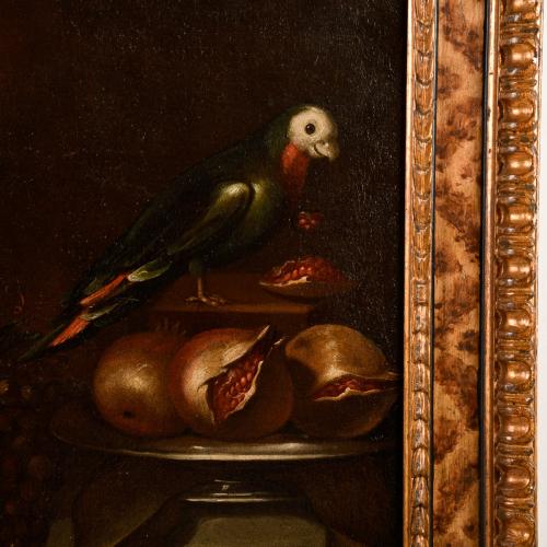 ESCUELA ESPAÑOLA, SIGLO XVIII. "Bodegón con loro".