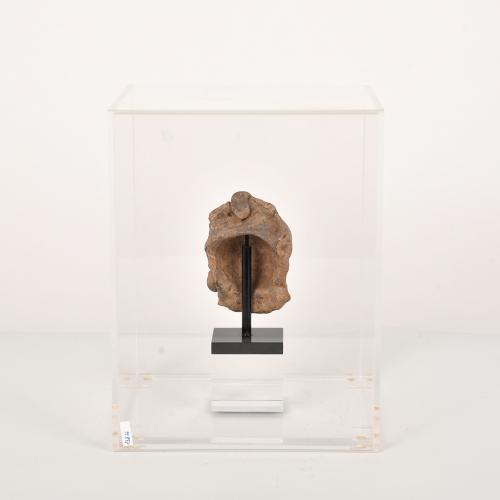 SIGUIENDO MODELOS PRECOLOMBINOS, Busto