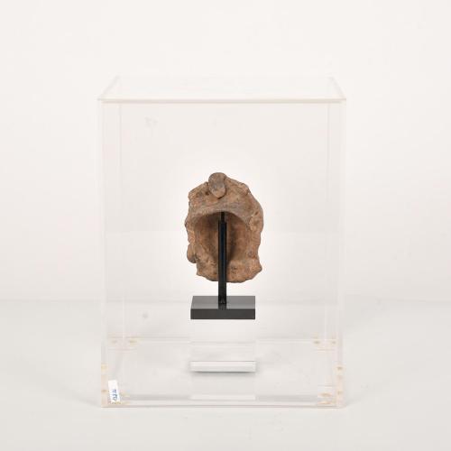 AFTERING PRE-COLUMBIAN MODELS, Bust