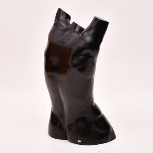 XAVIER MEDINA-CAMPENY (1943). Torso