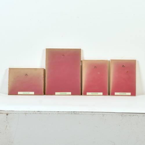 ALEXANDRE DE RIQUER (1856-1920). Conjunto de 4 exlibris.