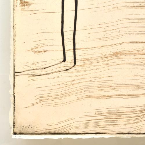 JOSEP MARIA RIERA I ARAGO (1954). Avion