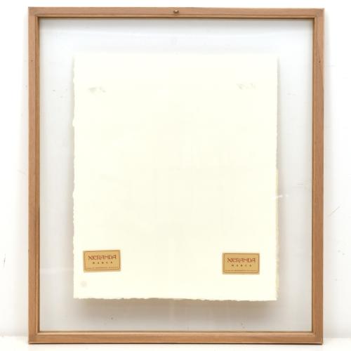 JOSEP MARIA RIERA I ARAGO (1954). Avion