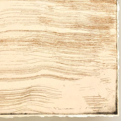 JOSEP MARIA RIERA I ARAGO (1954). Avion