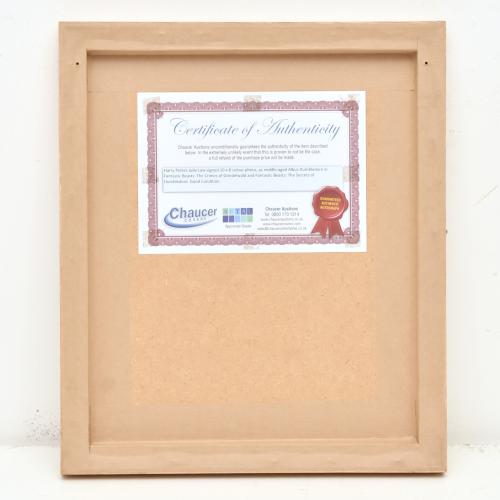 Jaap Buitendijk (Holanda, 1970). Animales fantásticos: los 