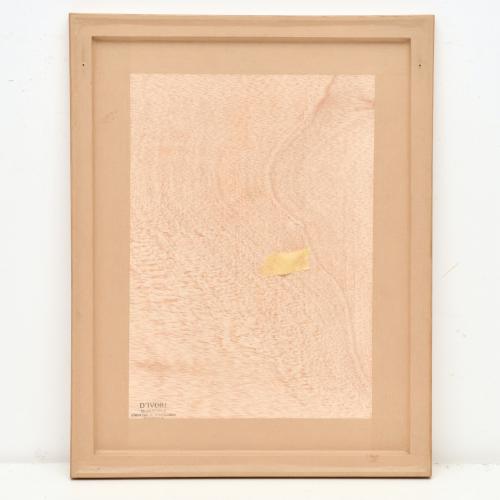 Arnaud Baumann (La Reunion, [FR] 1953). Laetitia Casta, 200