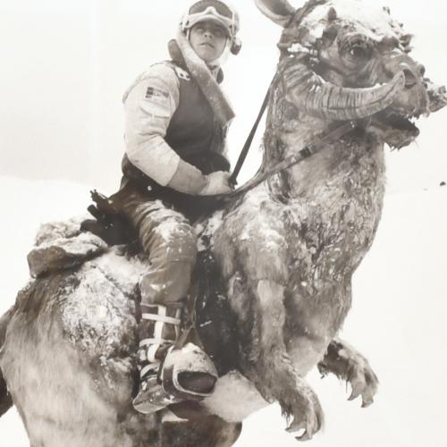 George Whitear (Brentford [[UK], 1932 - Surey [UK], 2005) S