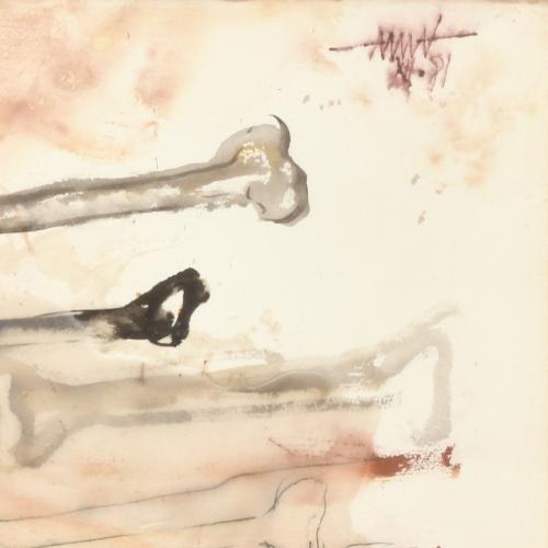 FREDERIC AMAT (1952). 'Ossos', 1981