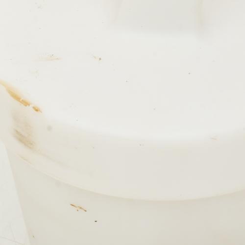 MYYOUR, pareja de lámparas Tulip.