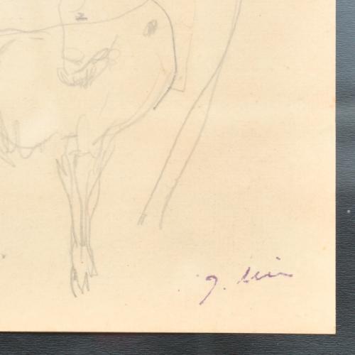 JOAQUIM MIR I TRINXET (1873-1940). Sketch of a donkey.