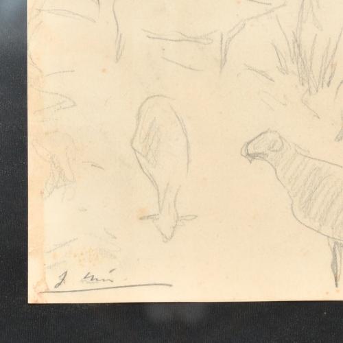 JOAQUIM MIR I TRINXET (1873-1940). Sketch of sheep.