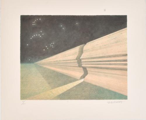 JOSEP MARIA SUBIRACHS (1927-2014). S/t.